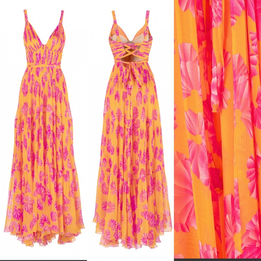 Maria Lucia Hohan Dress